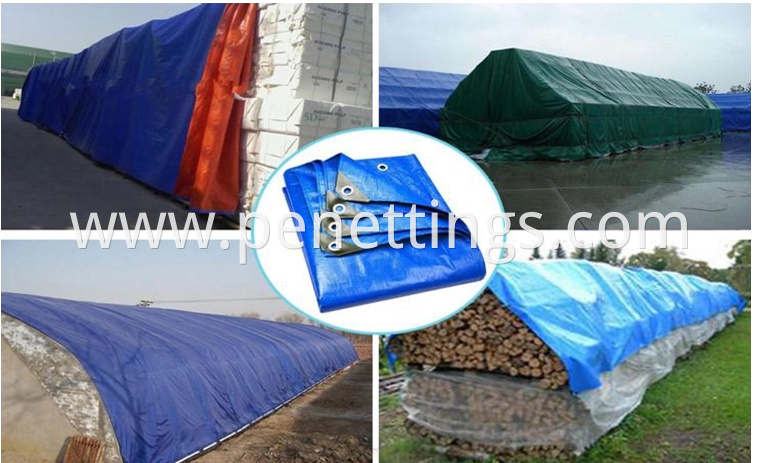 TARPAULIN SHEET (3)